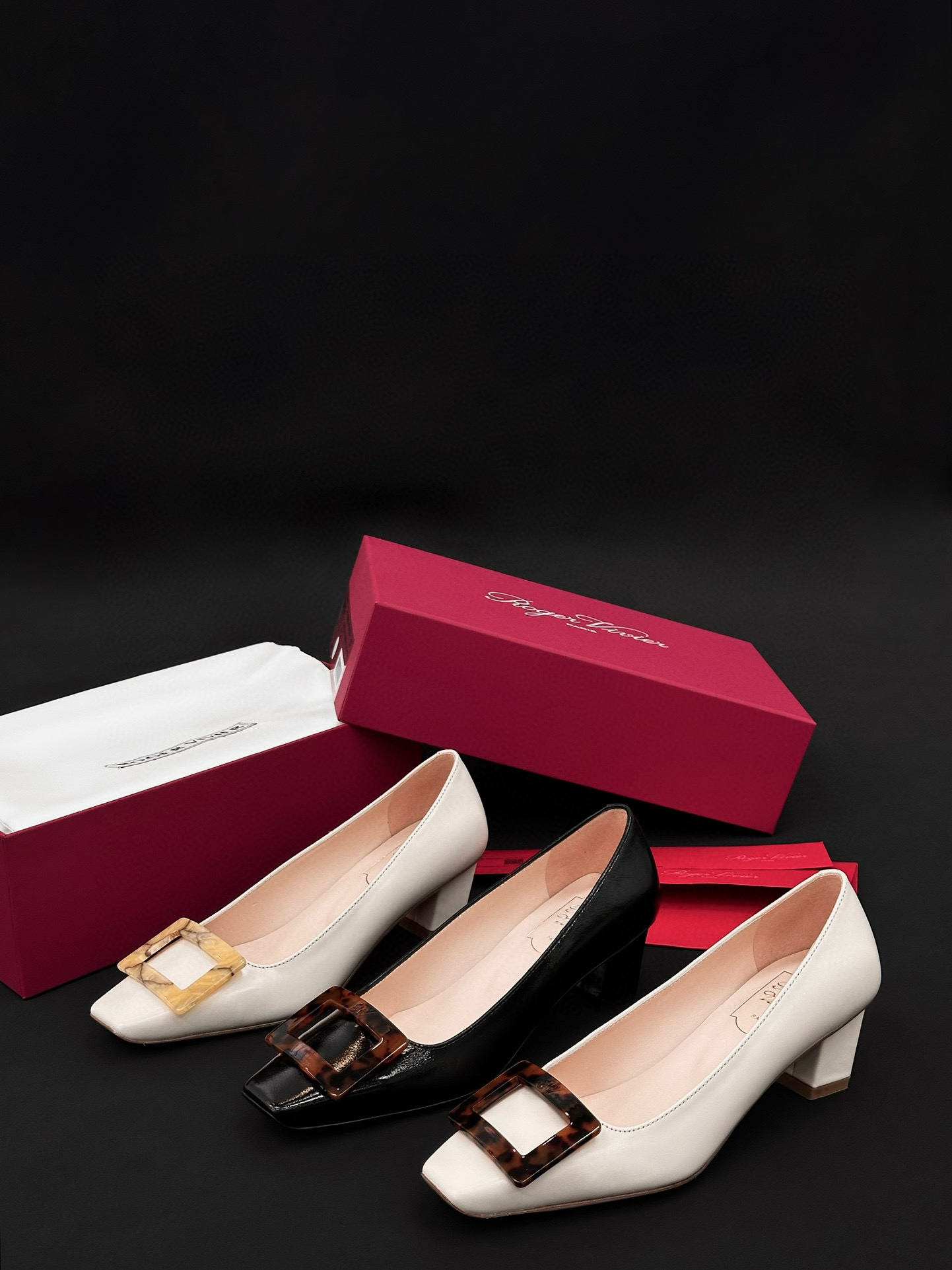 Roger Vivier Shoes (5cm)