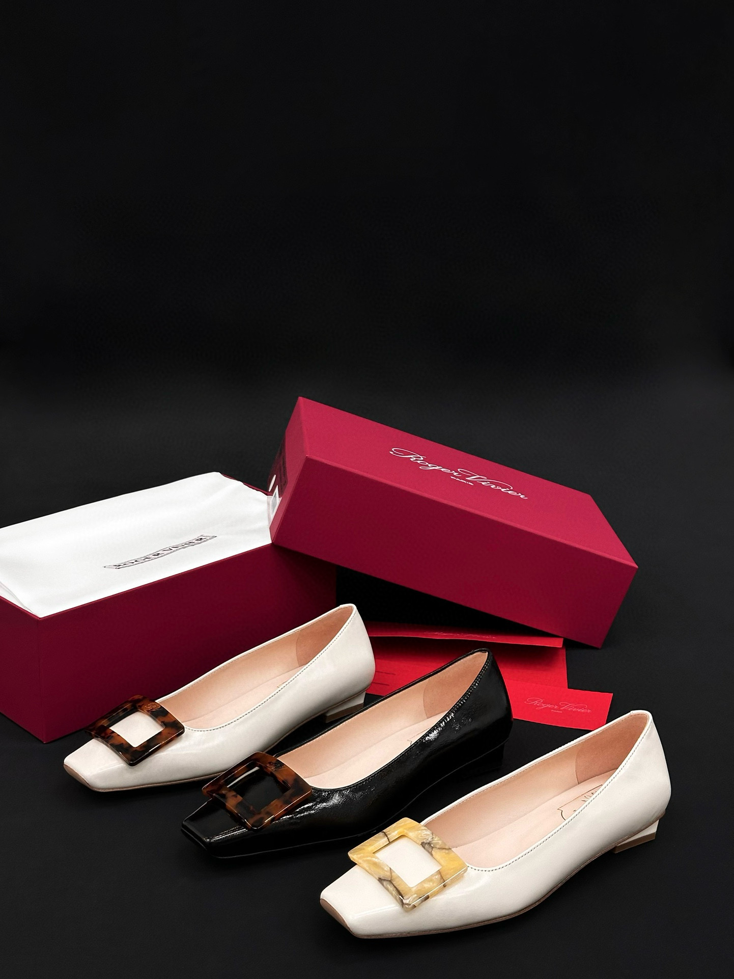 Roger Vivier Shoes (2.5cm)